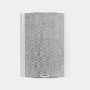 PAS-IBS30W<br>30W Box Speaker with Twitter