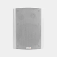 PAS-IBS40W<br>40W Box Speaker with Twitter